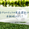 徳島ヴォルティスの有名選手は誰？本拠地はどこ？